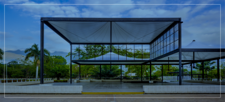 Safe Events: 4 Key Tips for Organizing During the Current Situation