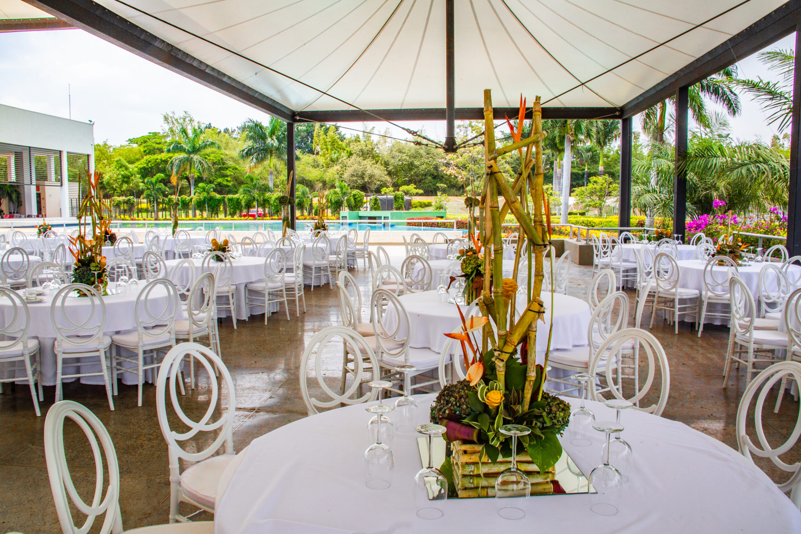 En este momento estás viendo Degustando el Éxito: la Gastronomía en los Eventos